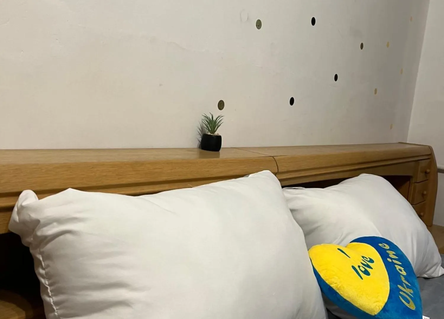 Ararat-Klovskaya Hostel-Apartments Kiev Vandrarhem